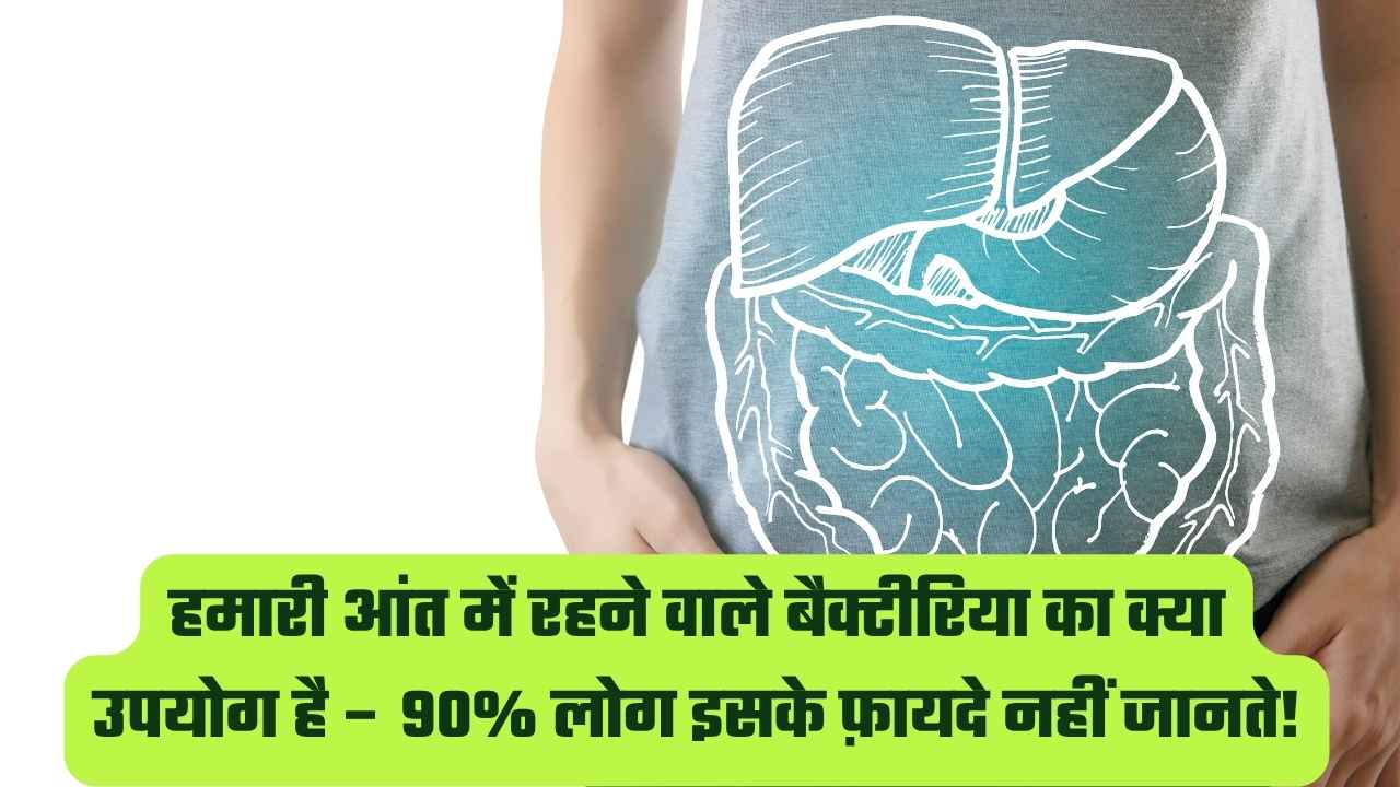हमारी आंत में रहने वाले बैक्टीरिया का क्या उपयोग है