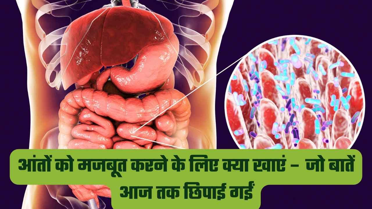 आंतों को मजबूत करने के लिए क्या खाएं