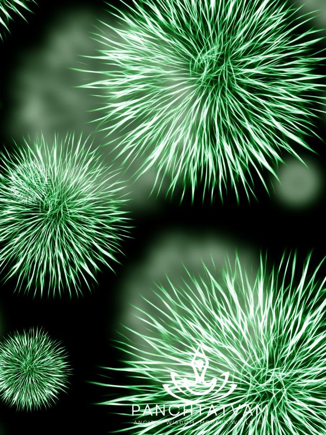 हमारी आंत में रहने वाले बैक्टीरिया का क्या उपयोग है – 90% लोग इसके फ़ायदे नहीं जानते!